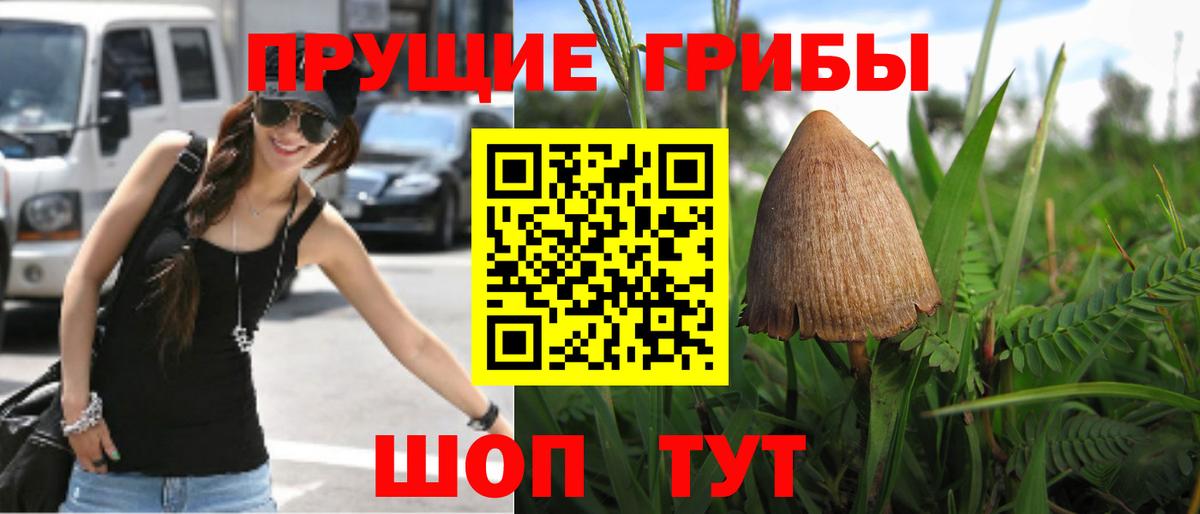 наркота  Псилоцибиновые грибы MAGIC MUSHROOMS  Вход с VPN  Каменск-Уральский 